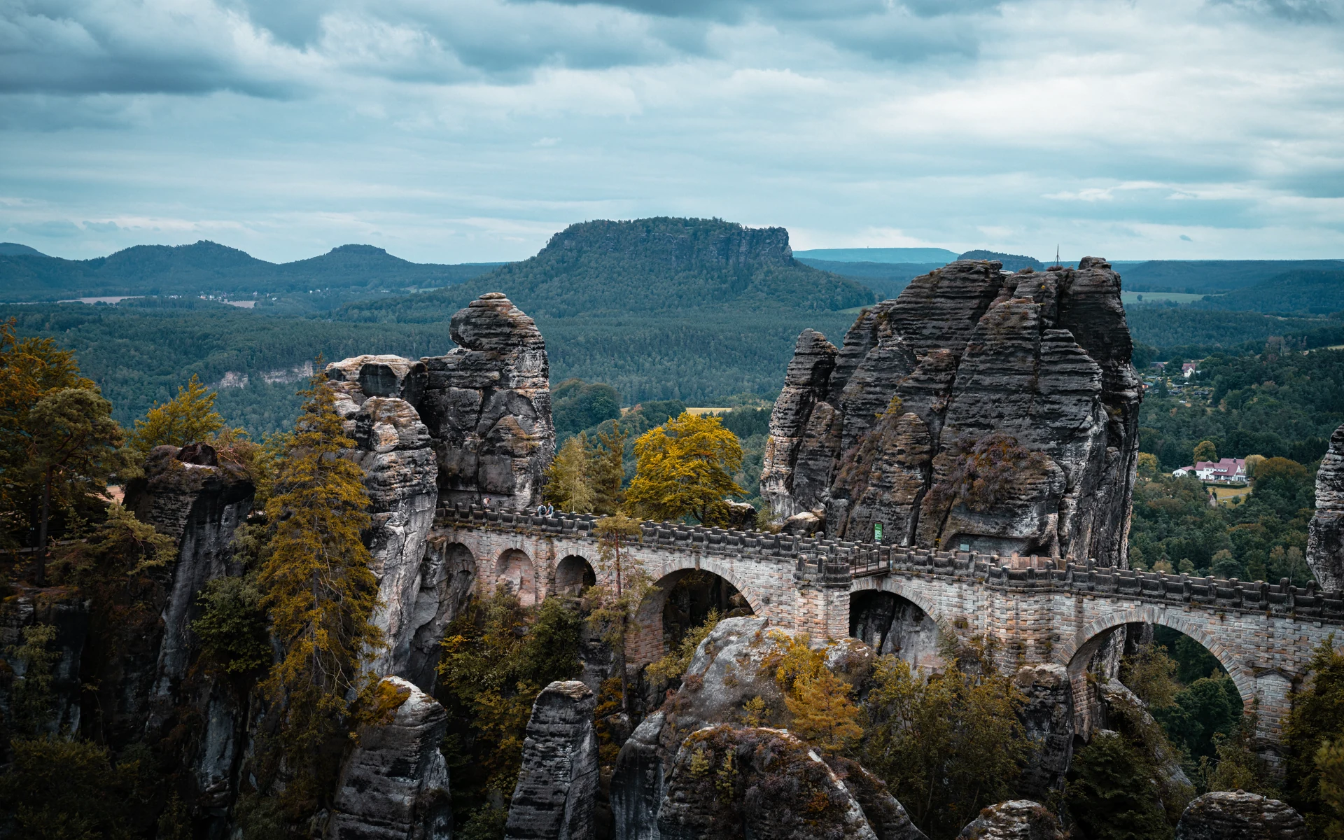 Portfolio-Bild