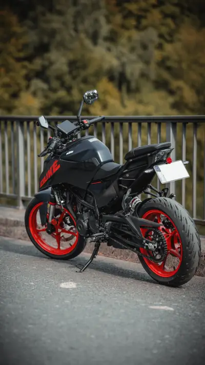 Motorradfotografie: Duke · Heckansicht